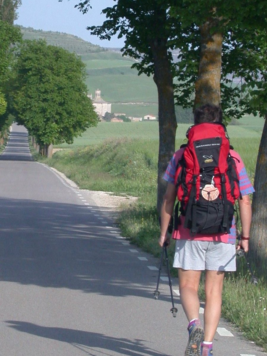Il processo è il vero motore della crescita.
Se ci si focalizza solo sulla meta, si rischia di trascurare un principio fondamentale: senza un processo solido e costante, nessun successo è destinato a durare.
massimoguerrini.com/la-biografia-d…