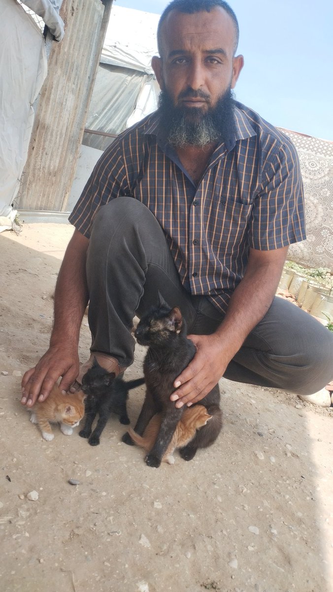 If you’re scrolling, PLEASE leave a dot.
 just trying to survive in Gaza.🫂
Don’t let hope fade away.🥺
chuffed.org/project/137272…