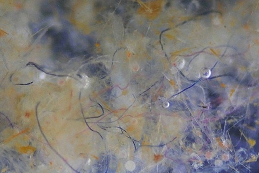 WetTribe's tweet image. Land-based sources contribute 70-80% of ocean plastic, including microplastics. Synthetic textiles, which release plastic microfibers during washing, are a significant contributor to this issue. #WetTribe #TidetotheOcean #Microplastics #Microfibers