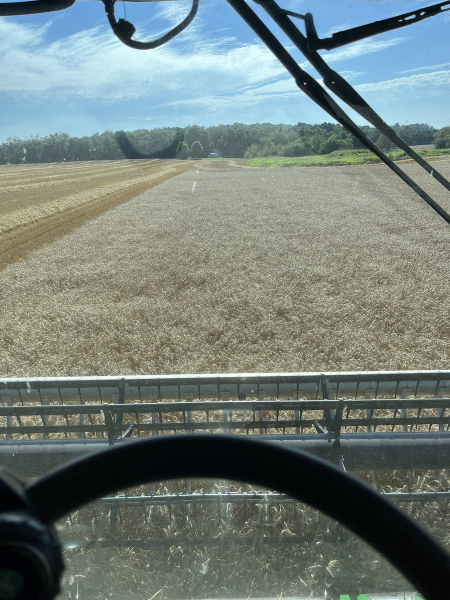 #havest25 has started for #BGF !