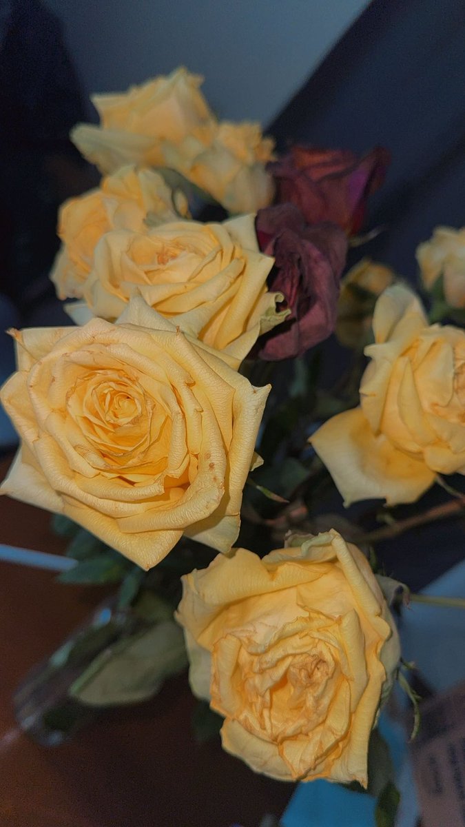 TkOlokodana's tweet image. Flowers lasting longer than your talking stages 🥹 💐#updatethegroupchat