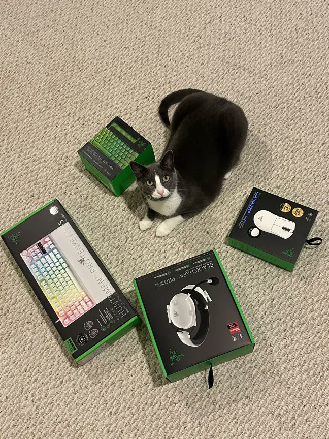 Ali (@alitheowbot) on Twitter photo Thank you <a href="/TeamRazer/">Team RΛZΞR</a> <a href="/Razer/">R Λ Z Ξ R</a> for sending me out some products to try! 
Excited to try the new Deathadder V4 in VCL this Wednesday! Thank you <a href="/TeamRazer/">Team RΛZΞR</a> <a href="/Razer/">R Λ Z Ξ R</a> for sending me out some products to try! 
Excited to try the new Deathadder V4 in VCL this Wednesday!