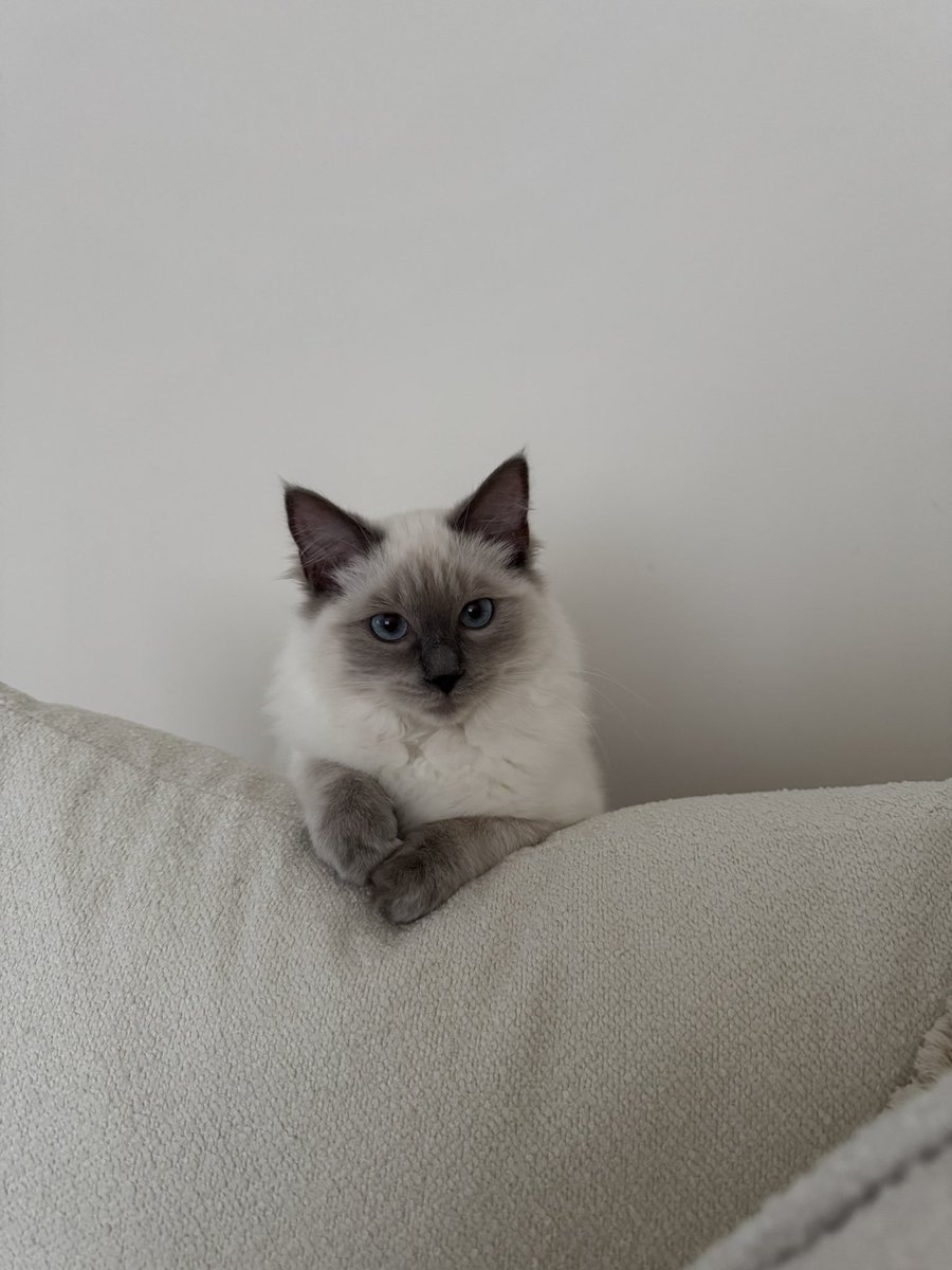 charcharfrith's tweet photo. deserves her moment on twitter because she’s a gorgeous girl https://t.co/T94ClVeyQb