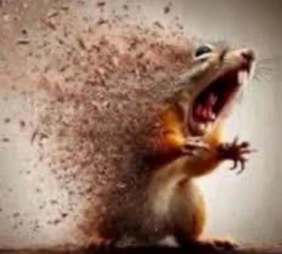 __SWANSONG's tweet image. / how it feels to be really active for one day before i have to go back to work for a week because i know all my motivation will go splat ⬇️