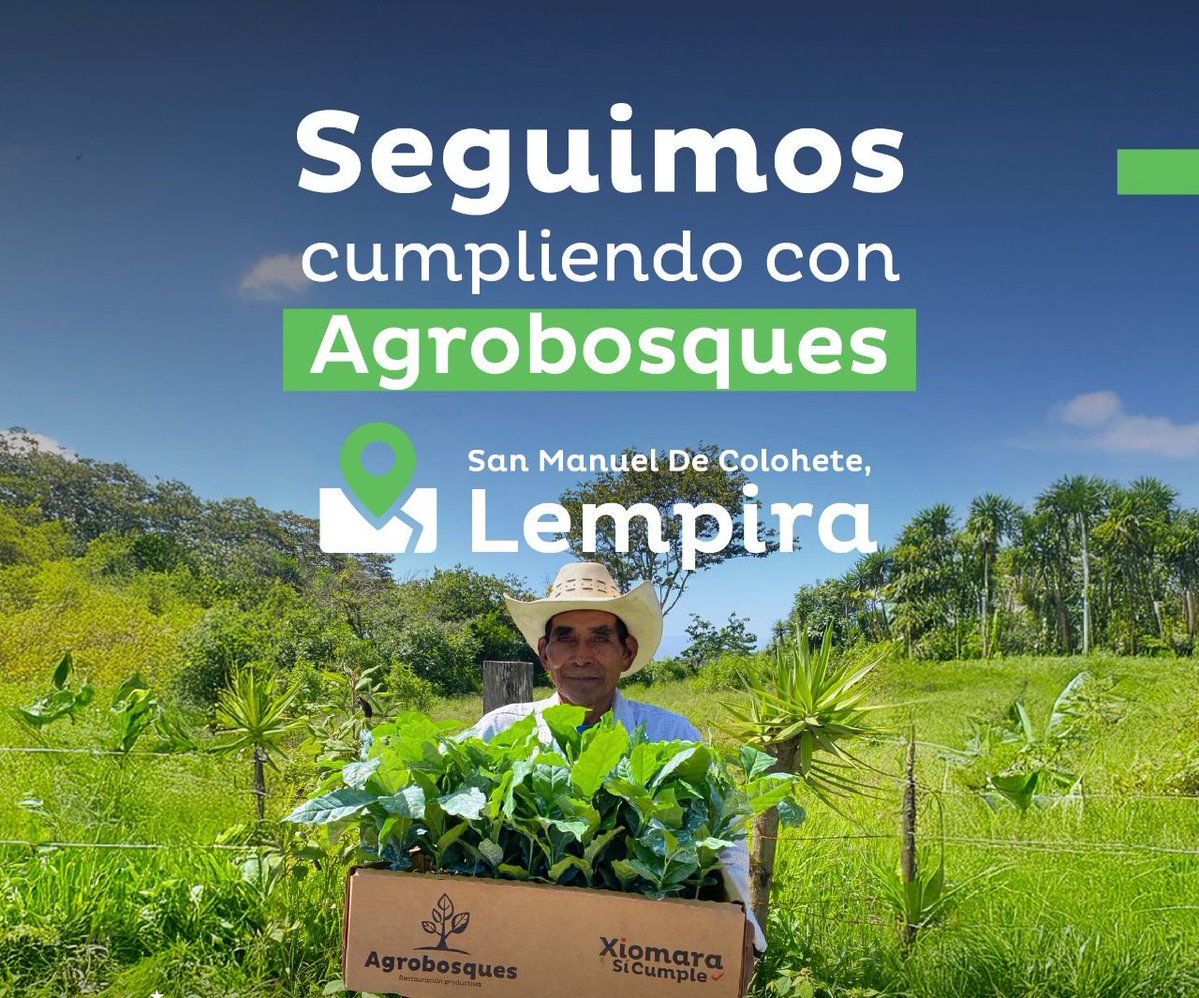 Minotahn's tweet image. 🌱🚛 ICF entregó 24,240 plantas de café Parainema y 1,080 maderables en San Manuel de Colohete, Lempira.
👩🌾 Esta acción responde al compromiso del Partido LIBRE representado por la presidenta @XiomaraCastroZ, por impulsar el desarrollo rural, restaurar nuestros bosques y…
