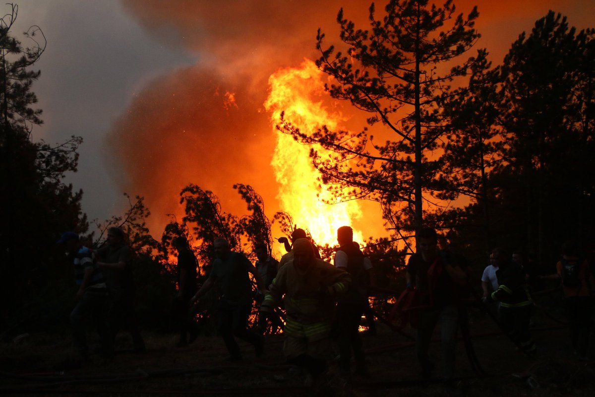 105 adet helikopter, 14 insansız hava aracı, 27 adet uçak var ama gör ki Karabük 6 gündür yanıyor…. 

#KarabükYanıyor