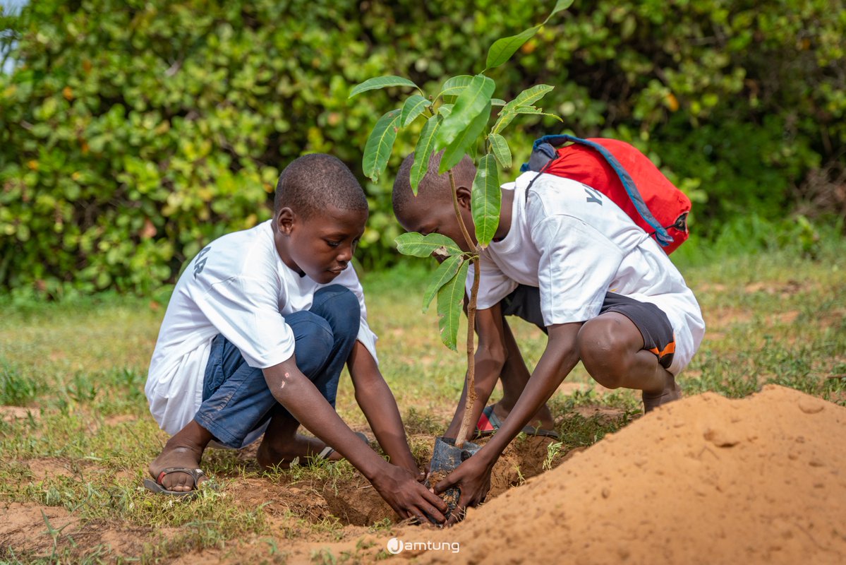 Bonsoir Monsieur le président  de la république <a href="/PR_Diomaye/">Bassirou Diomaye Faye</a> , ce dimanche 03 août est la journée de l’arbre au Sénégal 🇸🇳.
Cet événement doit être un moment de mobilisation de tous les sénégalais au tour de la plantation d’arbres sur toute l’étendue du territoire. ⬇️