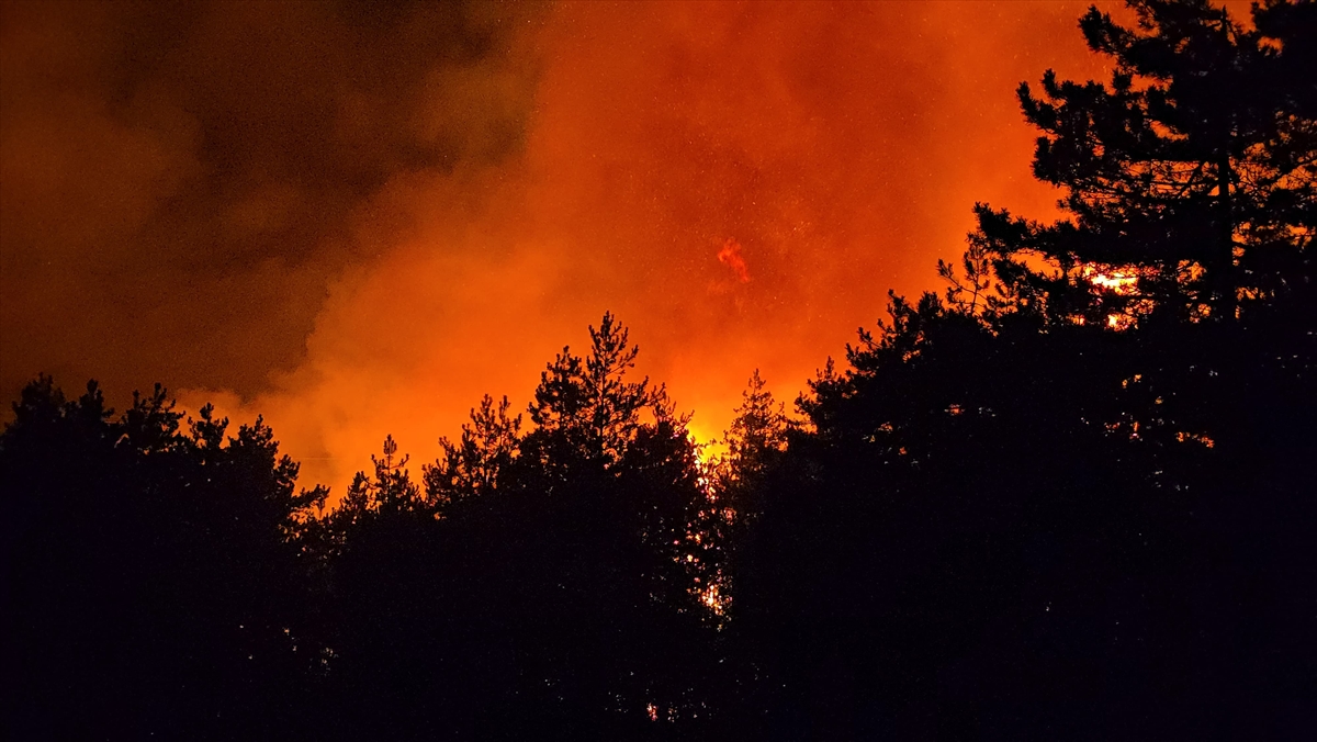 Karabük'te orman yangını devam ediyor.