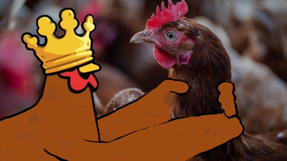 0x_dano's tweet image. Let the mf $COQ FLY dammit!!!
@CoqInuAvax ππΊ