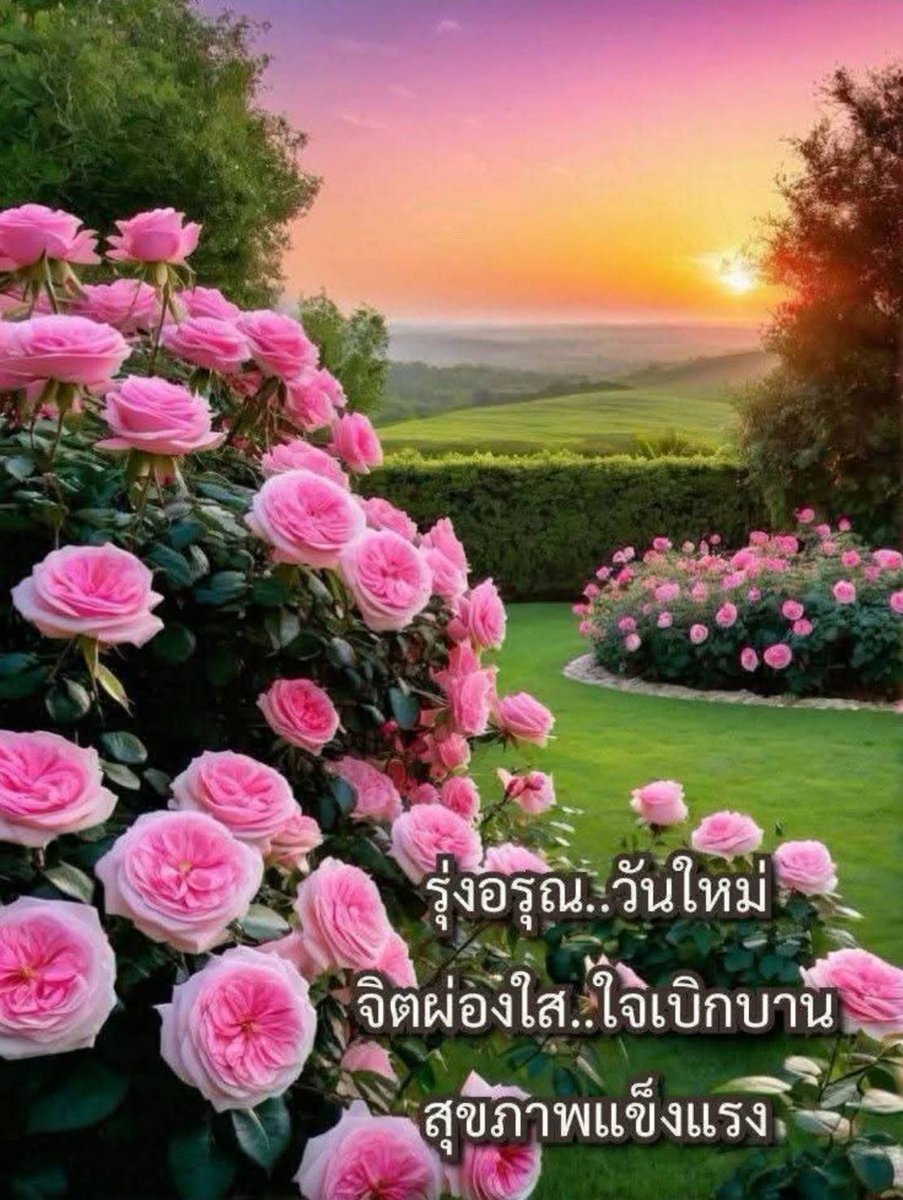 อรุณสวัสดิ์เช้าวันอังคารค่ะ