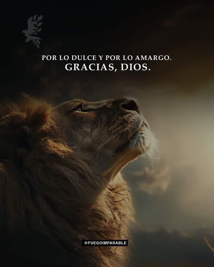 Hijos Del Rey ☝🙏 (@hijosdelrey86) on Twitter photo 