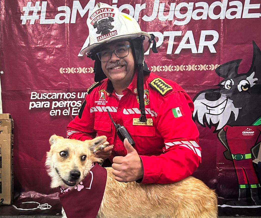 ComSocEdomex's tweet image. Durante la última jornada de adopción en el estadio Nemesio Diez, perritos sin hogar encontraron una nueva familia
Los caninos cuentan con vacunación, esterilización, desparasitación y evaluación de comportamiento.
Conoce más información aquí: goo.su/1vcku