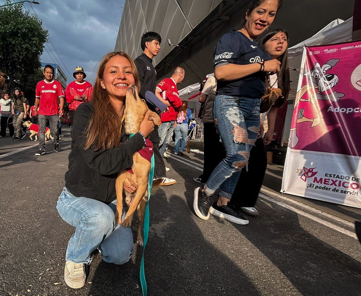 ComSocEdomex's tweet image. Durante la última jornada de adopción en el estadio Nemesio Diez, perritos sin hogar encontraron una nueva familia
Los caninos cuentan con vacunación, esterilización, desparasitación y evaluación de comportamiento.
Conoce más información aquí: goo.su/1vcku