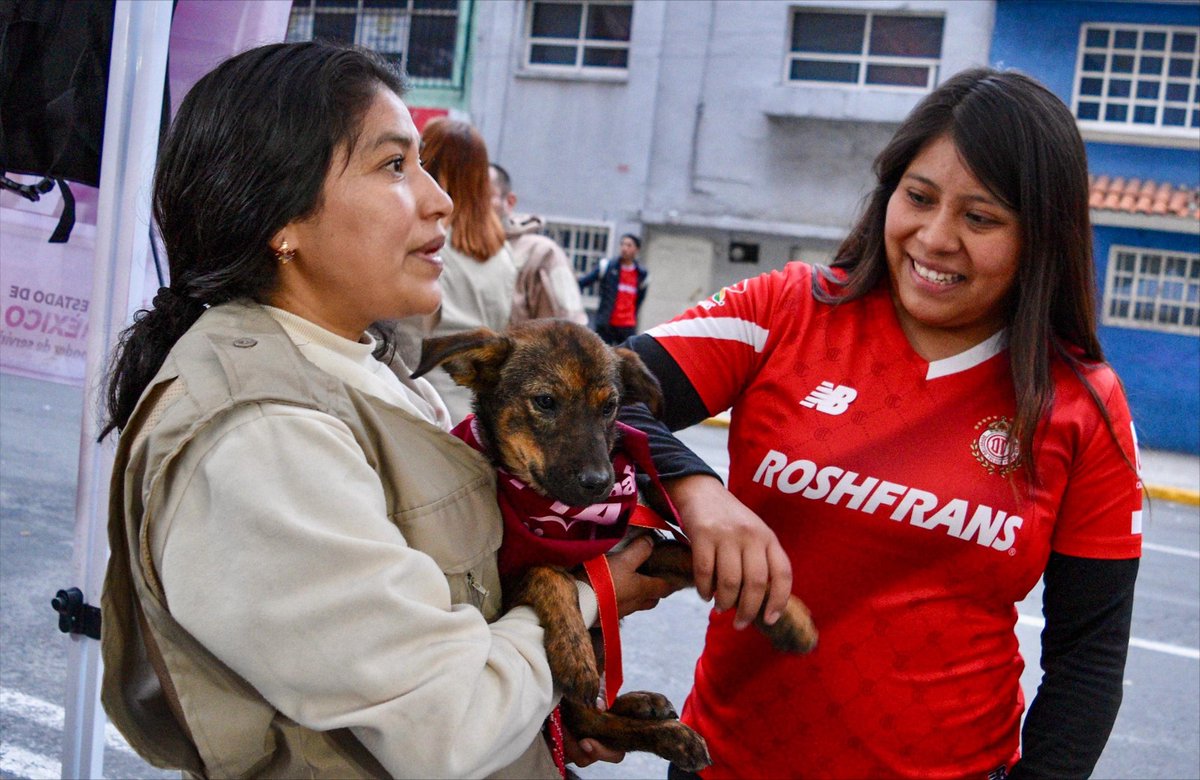 ComSocEdomex's tweet image. Durante la última jornada de adopción en el estadio Nemesio Diez, perritos sin hogar encontraron una nueva familia
Los caninos cuentan con vacunación, esterilización, desparasitación y evaluación de comportamiento.
Conoce más información aquí: goo.su/1vcku