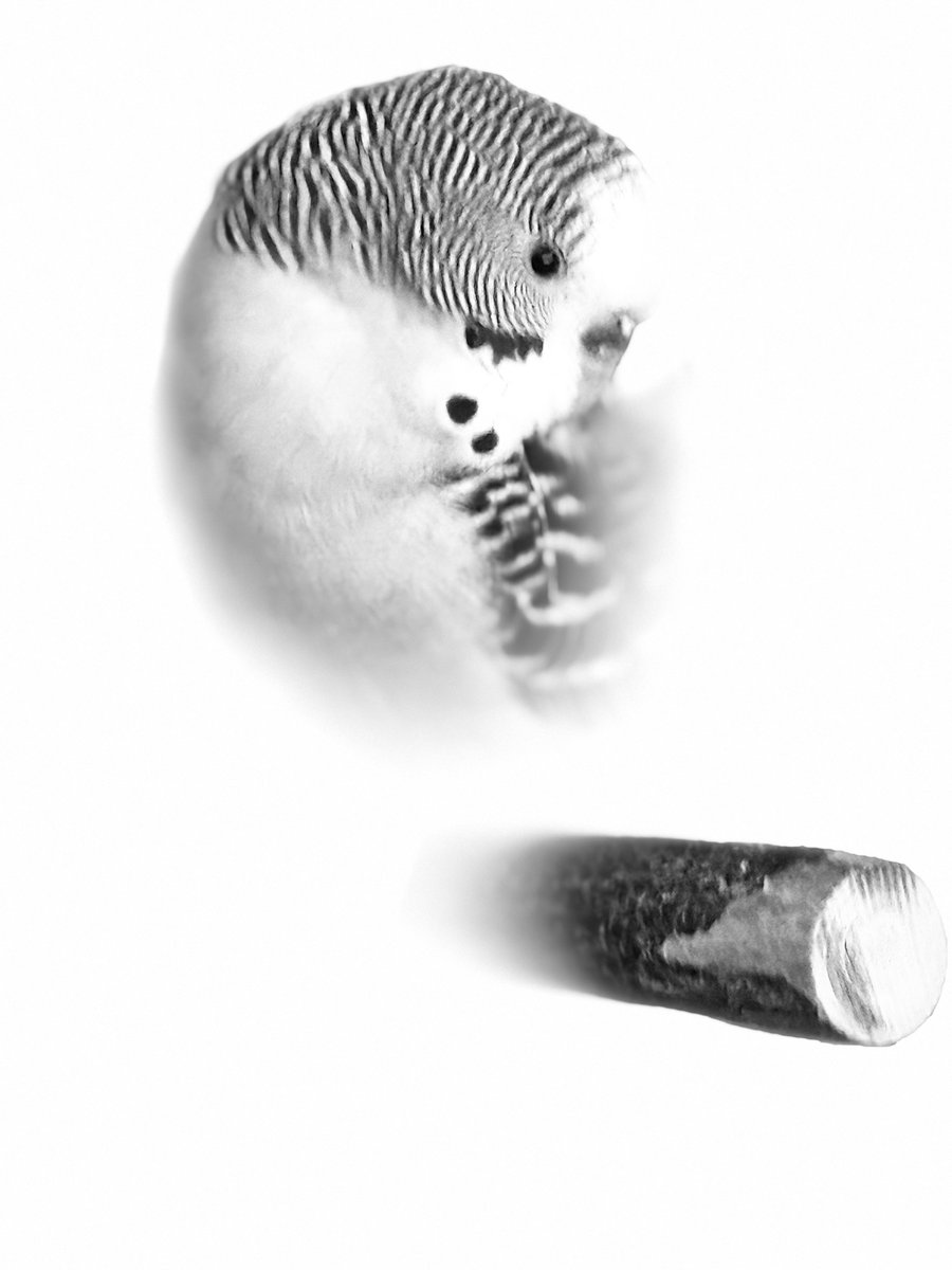 I was playing around with my phone, and ended up with this. ❤️

I figured the Newbie (and Rosie) Nation would appreciate it!