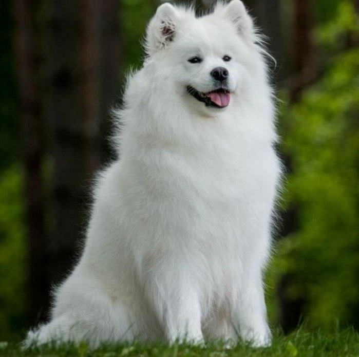 Another day Another blessings 
Shusha handle yako tukufollow back uongeze followers