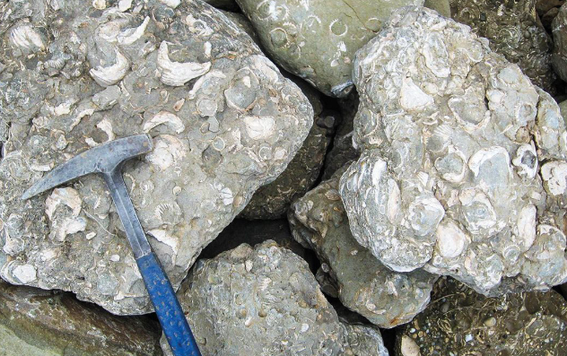 🌄 ¡Haz una pausa geológica en #Biobío! 
🌊 Caleta Cocholgüe: rocas marinas que cuentan la historia de antiguos océanos. 
🌎 Explora, protege y comparte este patrimonio que conecta con la historia.
Descubre más 👉 bit.ly/4jPsNTL 
#GeositiosDeChile