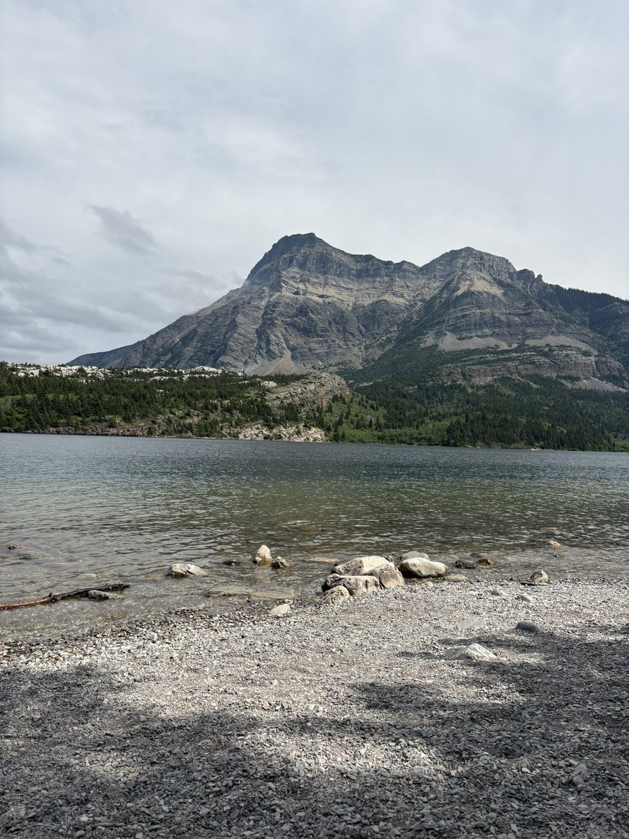 Imagine having the incredible fortune to be born in a country this spectacular and thinking “You know what this place needs, millions of third world dirt bags who don’t share our culture, values, and language, refuse to assimilate, and drain our already barely functional systems”