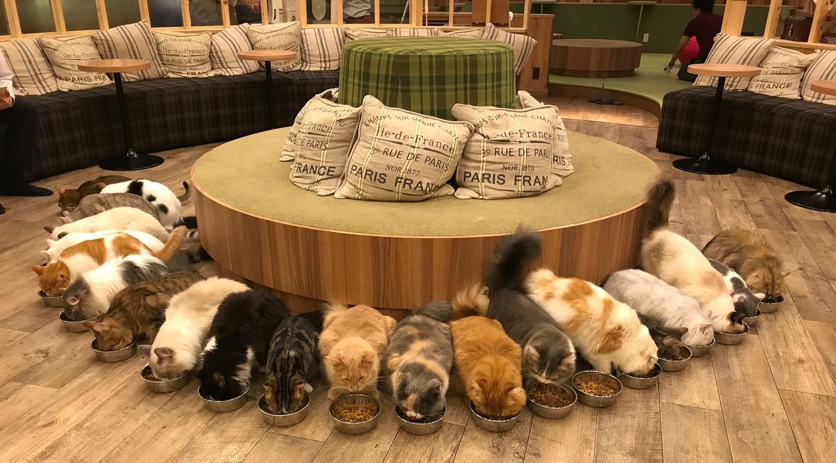 BoonBoon18184's tweet image. おはようございます
今日は意外と寒かった😳
だから目が覚めても割とすぐに寝れた
今日はリハビリやから頑張って来ます
