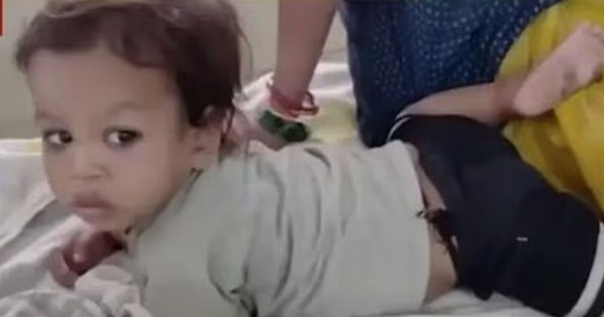 dailystar's tweet image. A brave two-year-old boy shocked his family when he bit a 3ft cobra to death after it lunged at him.
dailystar.co.uk/news/boy-2-bit…