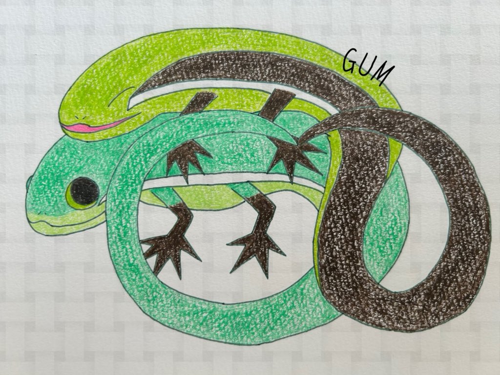 Gum1214's tweet image. #うちの子かわいい
#アオカナヘビ のチッチ(下)とサリー🦎
仲良しペアです👫💕
#カナヘビ は口角の上がった笑っているような顔が可愛い🥰
女の子のチッチの方が体が大きいけど、やっぱり卵を産むからがっしりしているのかも⁉️
#ゆるいイラスト
#爬虫類