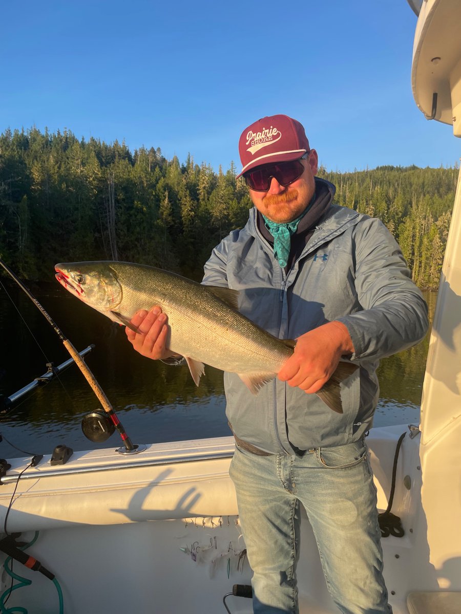 Crop Guy In Cattle Country tweet media