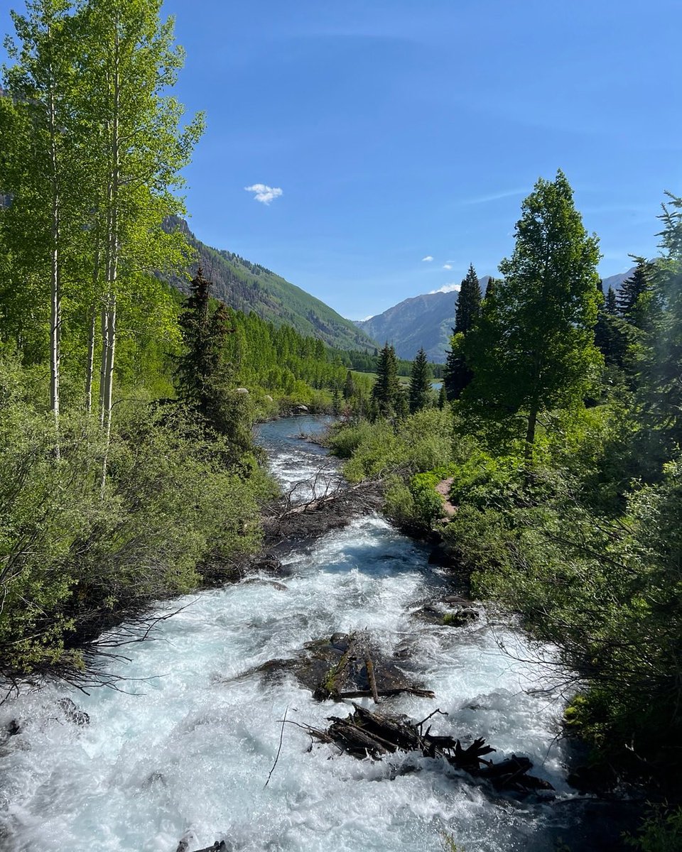 bretteldredge's tweet image. I prefer more of the analog life nowadays... the real stuff that makes me feel alive and connected...I just created a @SubstackInc to reflect that mindset. Somewhere we can connect together in a deeper way...less about chasing algorithms and instead going beyond surface level and…