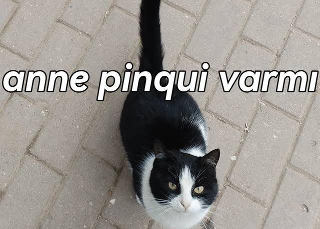 FluppyPuffy831's tweet image. 