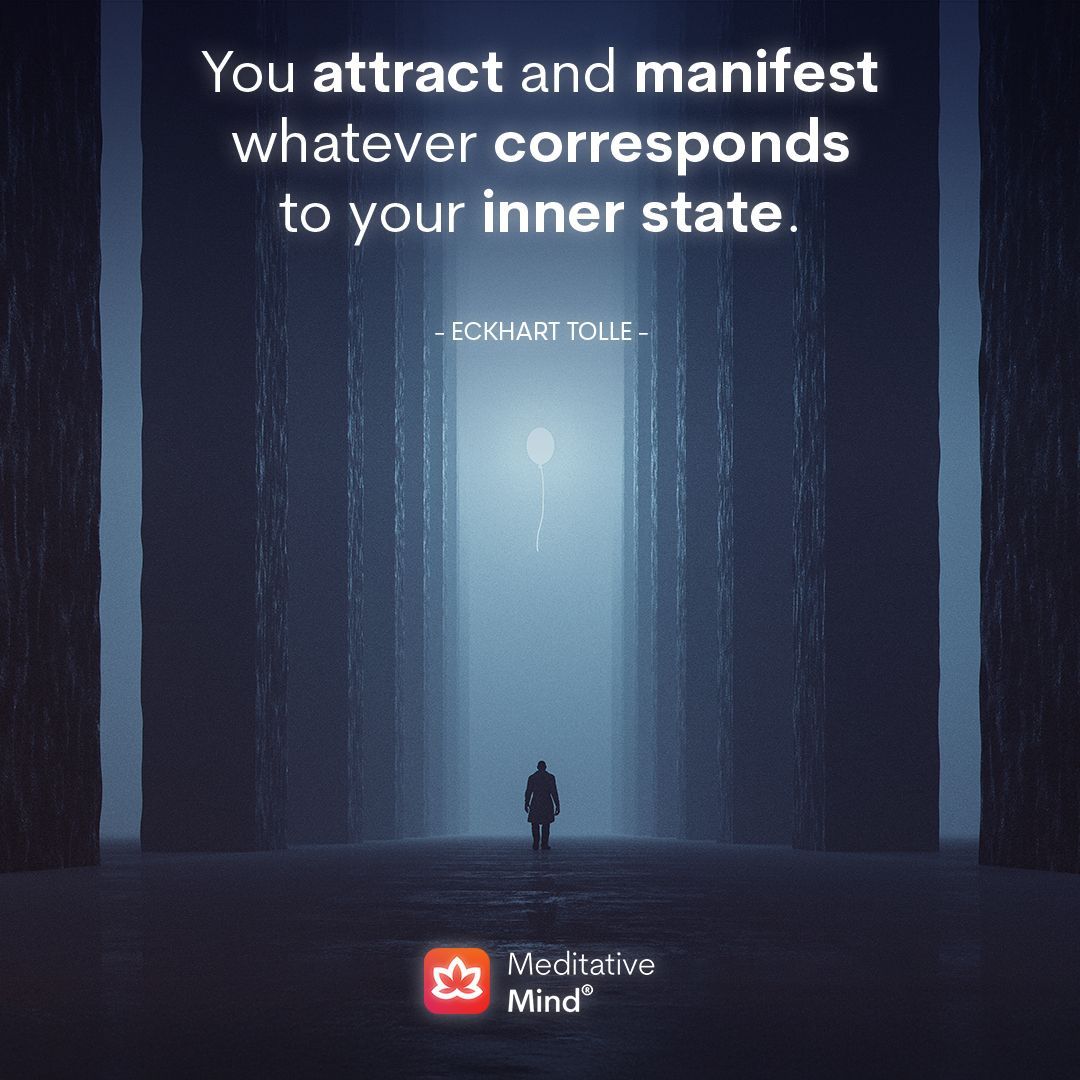 Meditative Mind tweet media