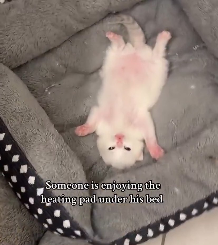 <a href="/_just_jhang/">just_ㅈ ㅑ ㅇ</a> Same picture