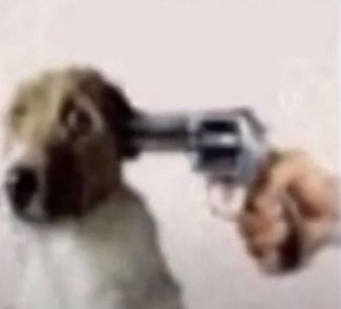 oozemancer's tweet image. just opened a box that contained a bottle of perfume i haven’t worn since i was in the stupidest most soul crushing situationship of my life