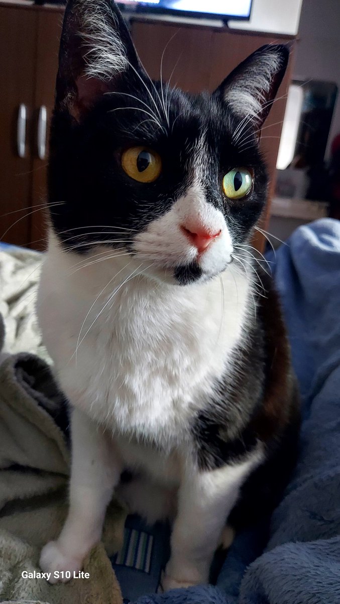 SolangeRebechi's tweet image. 