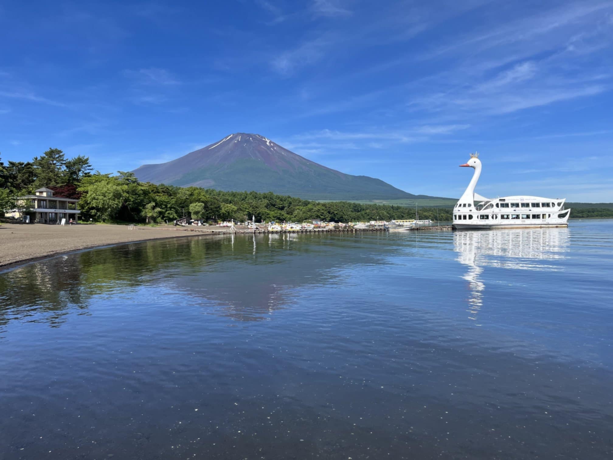 富士山 かおっちアンドさくら《いいね♥押せない時もあります》 on X