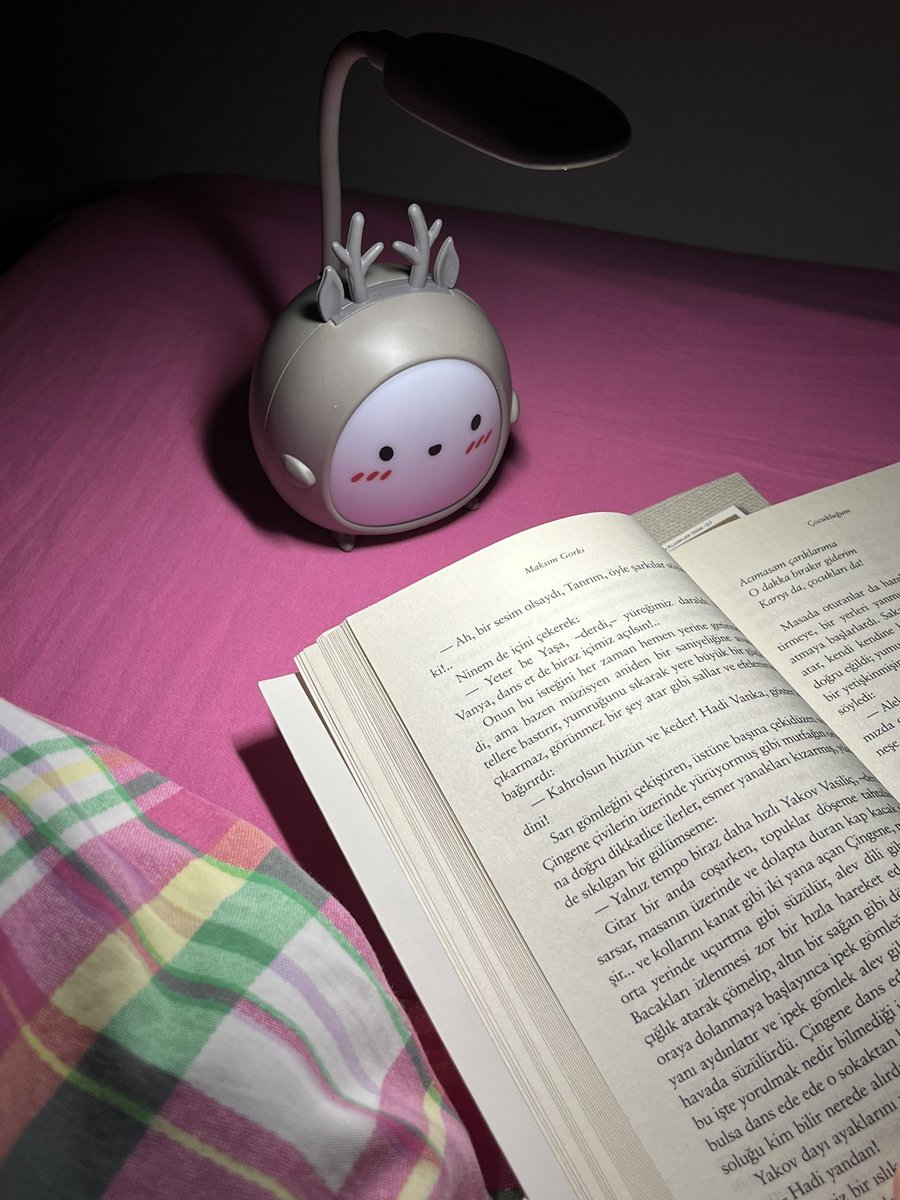sukutedemem's tweet image. Hemen işinizi gücünüzü bırakıp gece lambamın tatlışlığına bakın