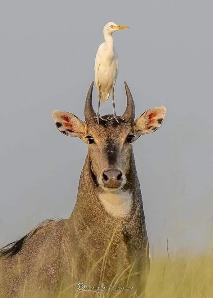 #NatureBeauty