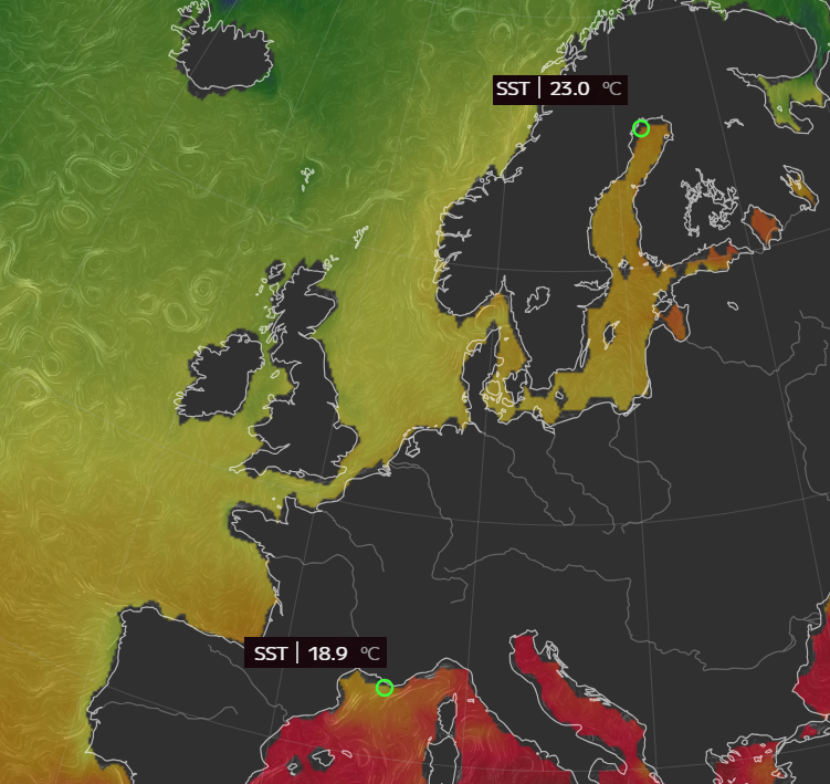 Stysz's tweet image. Temperatura wody w Zatoce Botnickiej wynosi aktualnie 23C zaś na Lazurowym wybrzeżu 18,9C.
Wygląda na to, że ktoś mógł pomylić kierunek wakacyjnego wyjazdu 🙃.