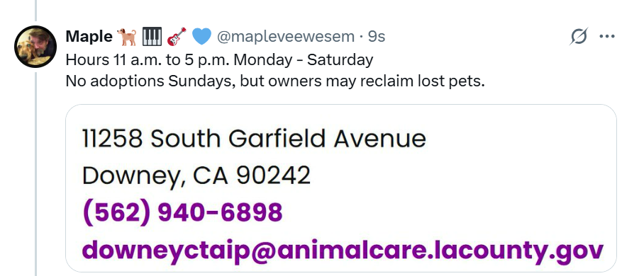 Maple 🐕 🎹 🎸 💙 (@mapleveewesem) on Twitter photo If you can commit to HENNY for at least 4 months, please apply to foster with goldenyearsdogsanctuary.com If you can commit to HENNY for at least 4 months, please apply to foster with goldenyearsdogsanctuary.com