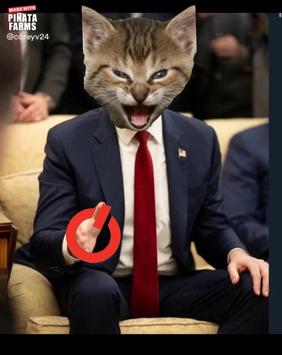 Corey_V24's tweet image. Have you said MEOW once today? @TheRoaringKitty $GME #GameStop #GME