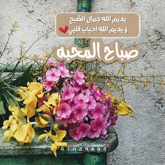 AshrafAbdo626's tweet photo. @MsabqatSmy10540 https://t.co/BZzByL6qO5