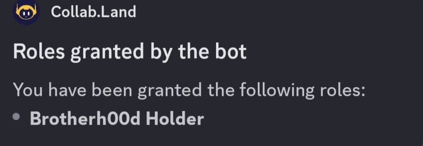 Just got my hands on a <a href="/h00dofficial/">Brotherh00d</a> from the legend <a href="/FelineSithLord/">LordVader</a> 🔥

Officially a Brotherh00d Holder now locked in leveled up and proud to be part of this wild community 🧢🐾

Let’s ride 🔥🚀