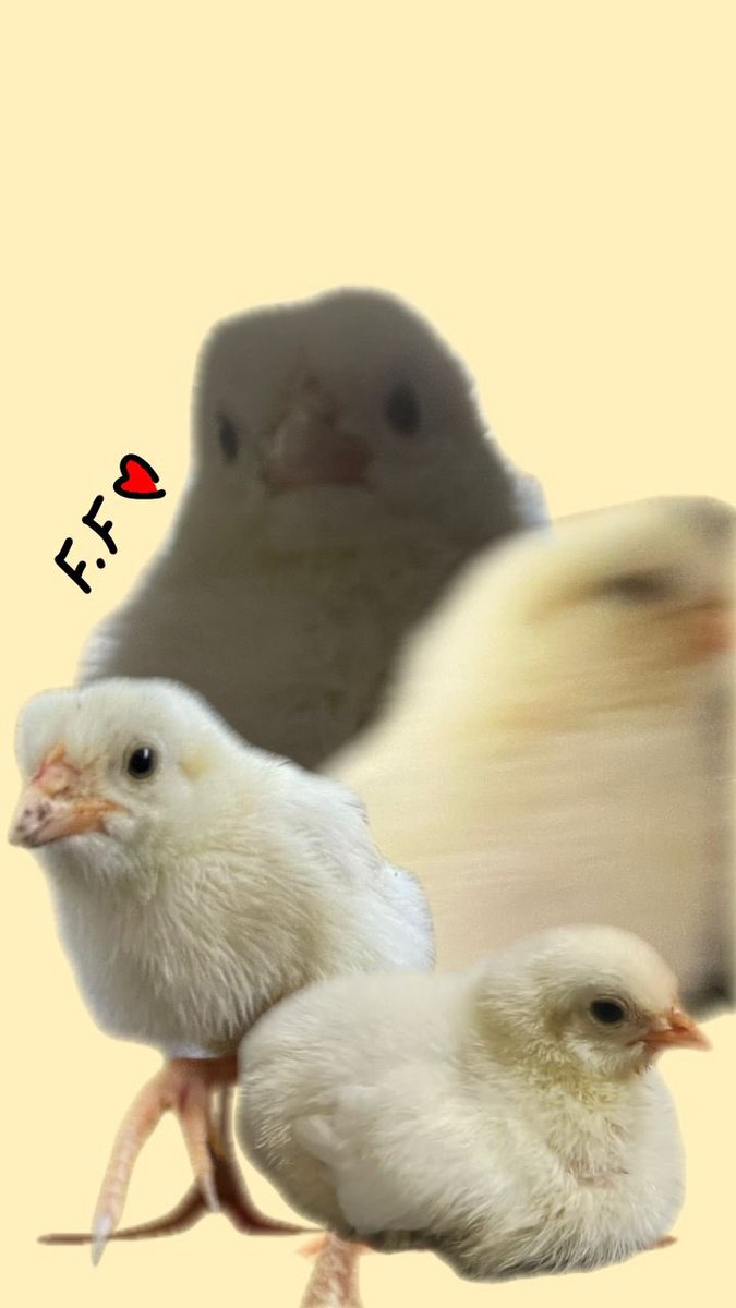 <a href="/sarhosolik/">Şukufe Naz</a>