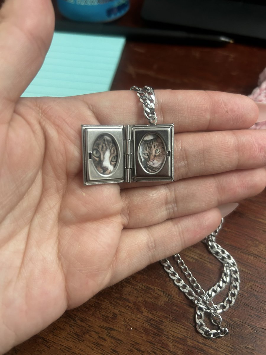 dudethatssick's tweet image. i put my babies in my locket finally⁠♡