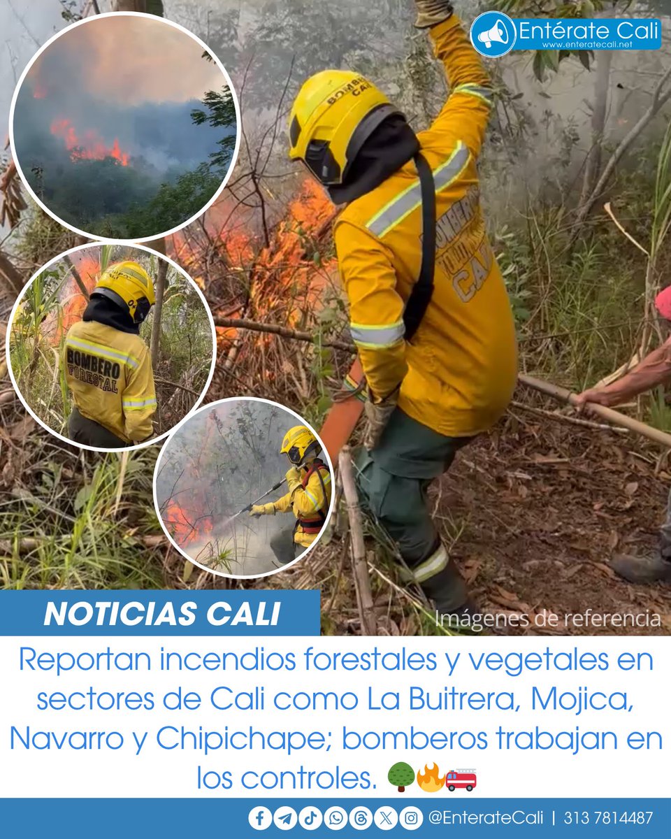 EnterateCali's tweet image. Bomberos Cali atienden cuatro incendios en diferentes puntos de la ciudad durante esta tarde
El Cuerpo de Bomberos Voluntarios de Cali atiende cuatro emergencias por incendios en distintas zonas de la ciudad. Las labores comenzaron alrededor de las 3:26 p. m. y continúan en…