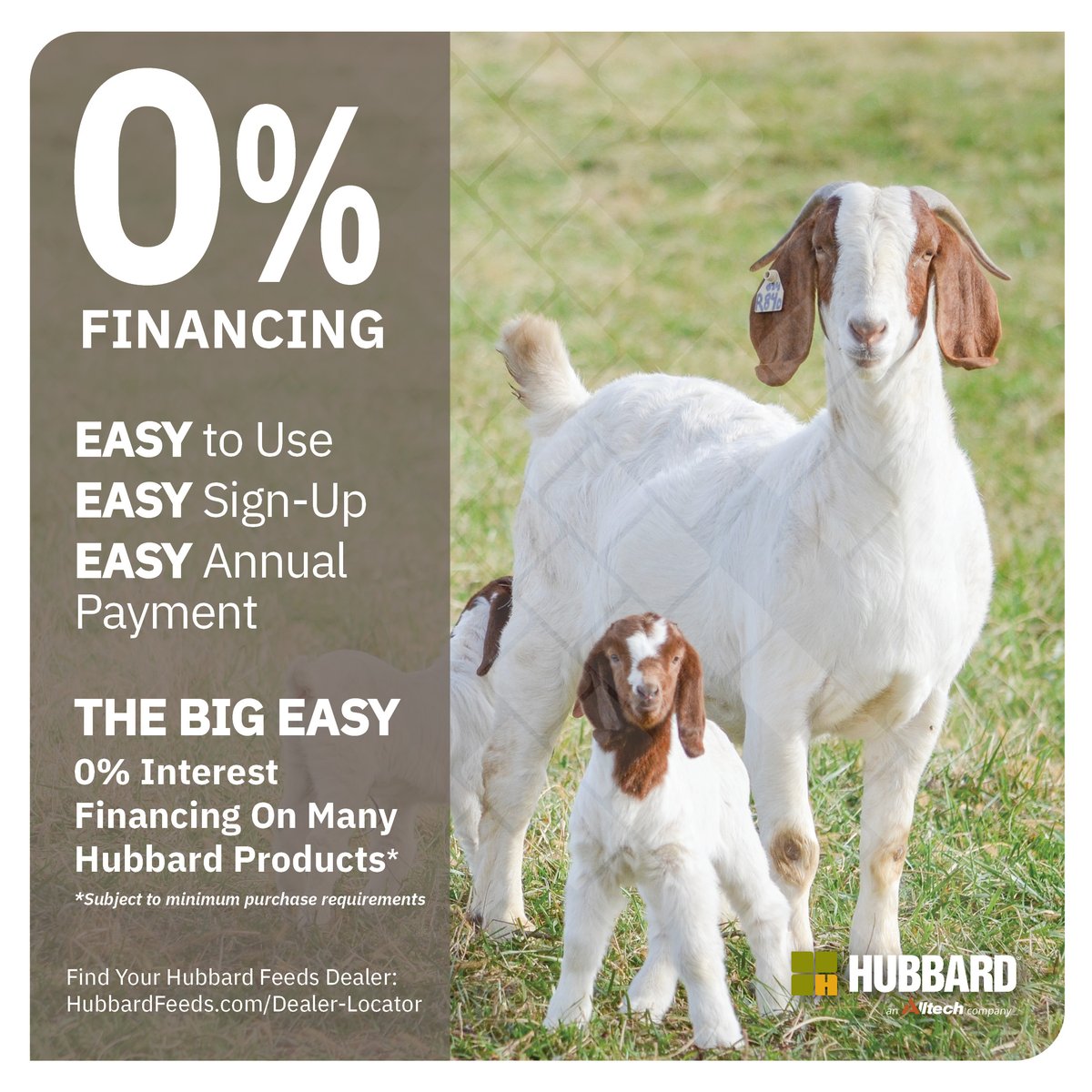 Looking for a way to decrease feed costs?  Let us help with The Big Easy Feed Finance Program!

🌟 0% Feed Financing on Hubbard Products! 🌟

🐐 Not just cattle products, goat and sheep products qualify too! 🐑

✅ Easy to Use
✅ Easy Sign-Up
✅ Easy Annual Payment