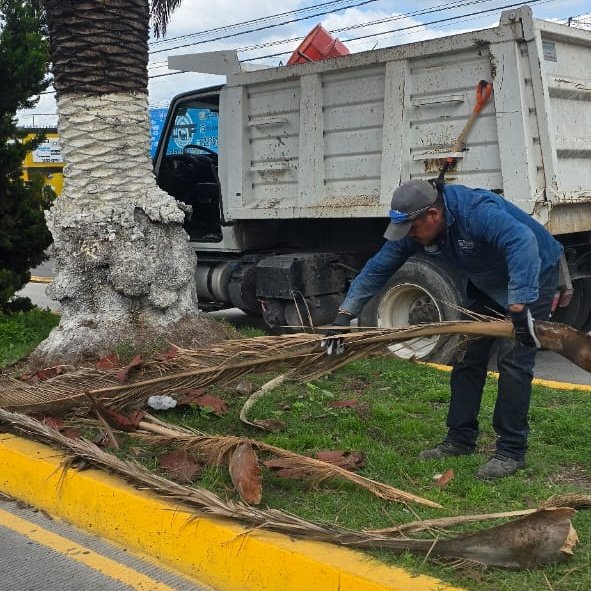 Servicios_Pub's tweet photo. ¡Le dimos barrida verde a la Diagonal #DefensoresDeLaRepública! 🍃🧹
Recolectamos desecho vegetal y dejamos la zona lista para que respire sabroso y esté todo en orden. 🌿💨
#LaCapitalImparable 🪽 https://t.co/AclVHo2qHs