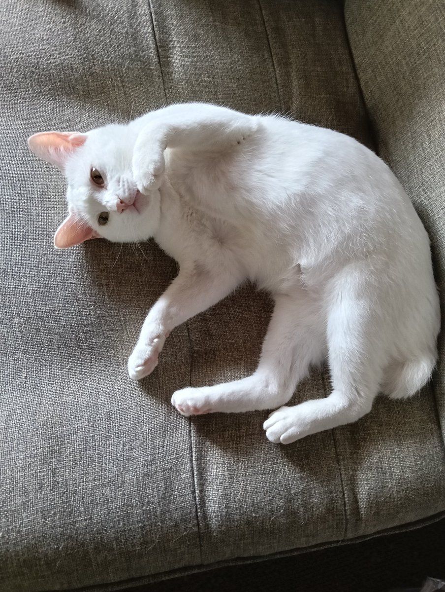 difkllymsr's tweet photo. 死ぬこと以外はかすり傷です。と言い聞かせて生きてる。 https://t.co/F0io4R1qP9