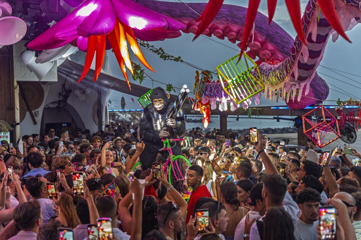 lucascalderon79's tweet photo. Monkey beach club Tenerife https://t.co/b14obkk150