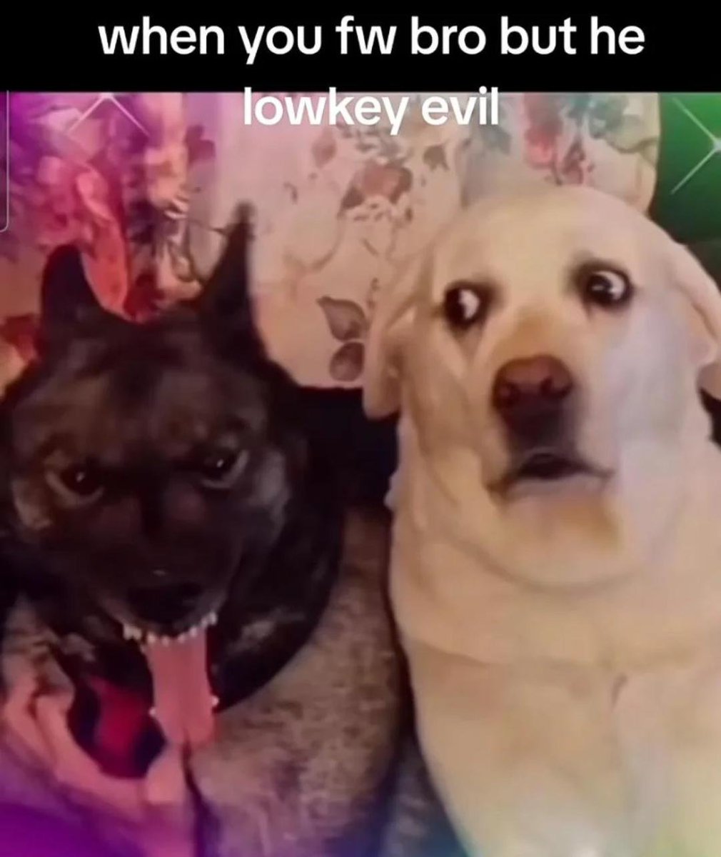 euphoriainmind's tweet image. why is pokke making that face here im crying man
