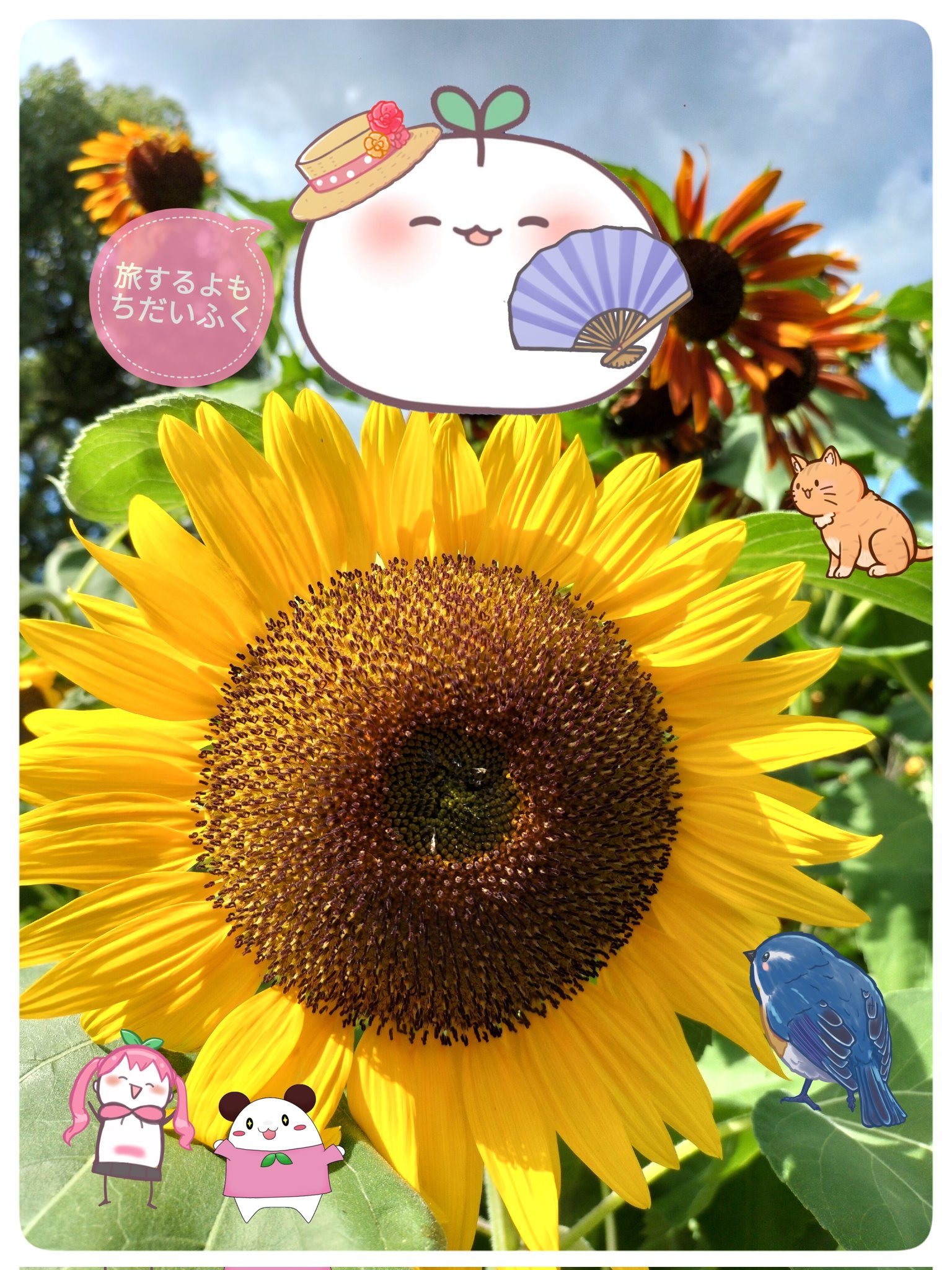 【中古】 思春期ばんざい 愛をまさぐる子どもたち/草土文化/尾木直樹 教育評論家の「尾木直樹 氏（尾木ママ）」が本庄市で講演を行う