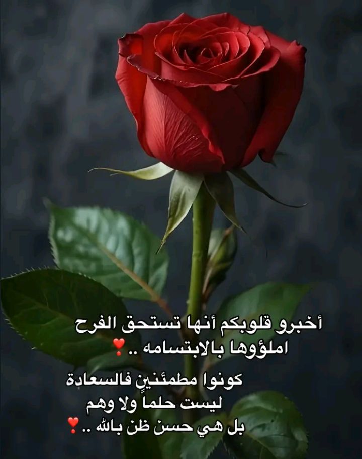 خالد ابو محمد ٢١/ اكتوبر 1966 (@kha41180131) on Twitter photo 